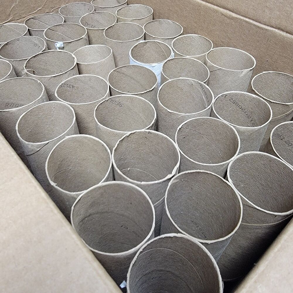 Cardboard Tubes Lot 62 Toilet Paper Craft Art Project Supply